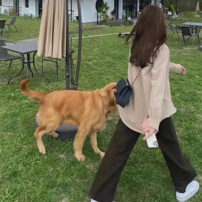聊斋志异